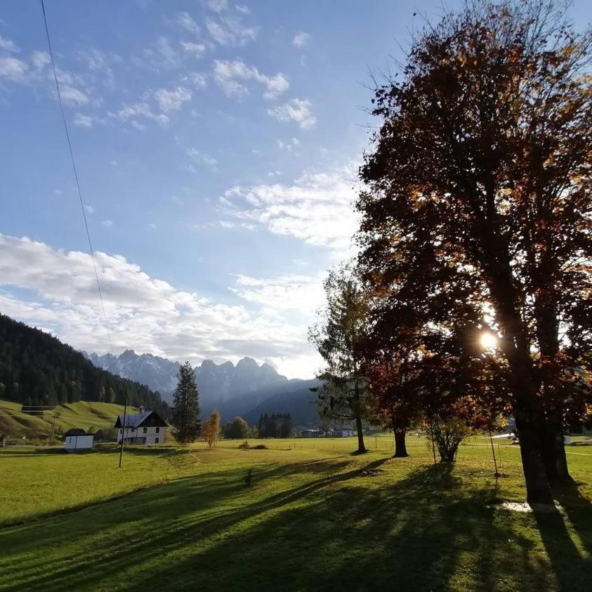 Appartamento Haus Gruenwald Gosau Esterno foto