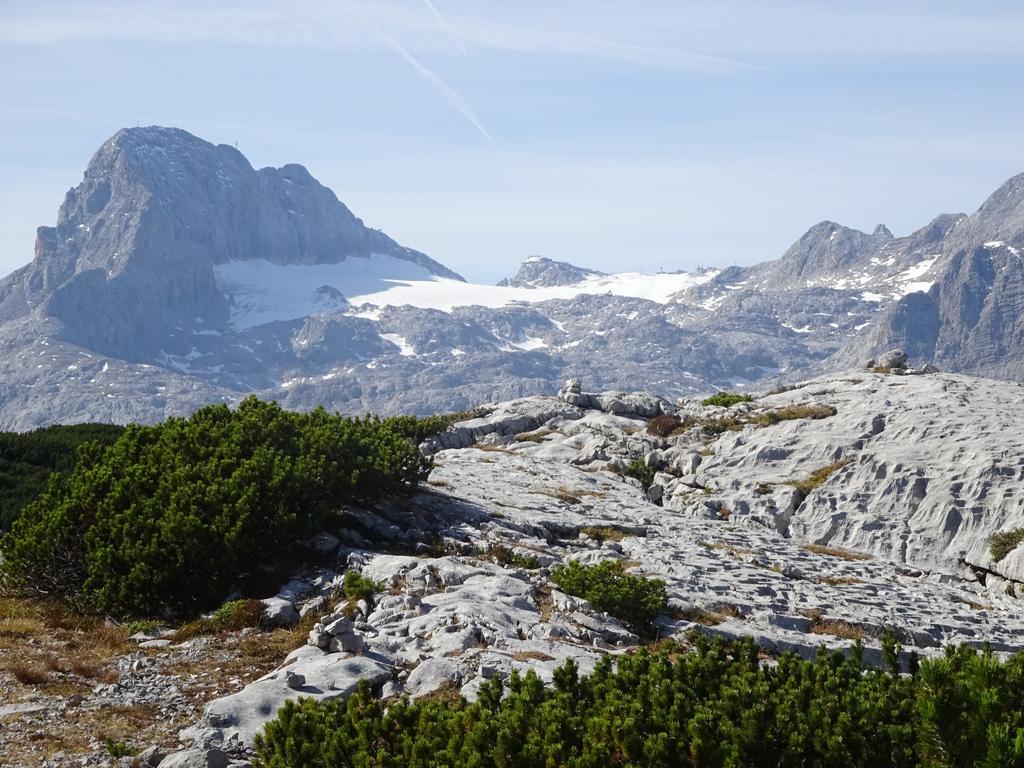 Appartamento Haus Gruenwald Gosau Esterno foto