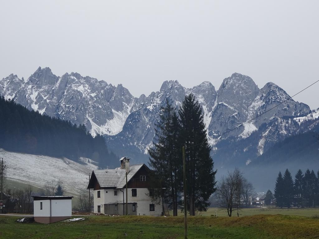 Appartamento Haus Gruenwald Gosau Esterno foto