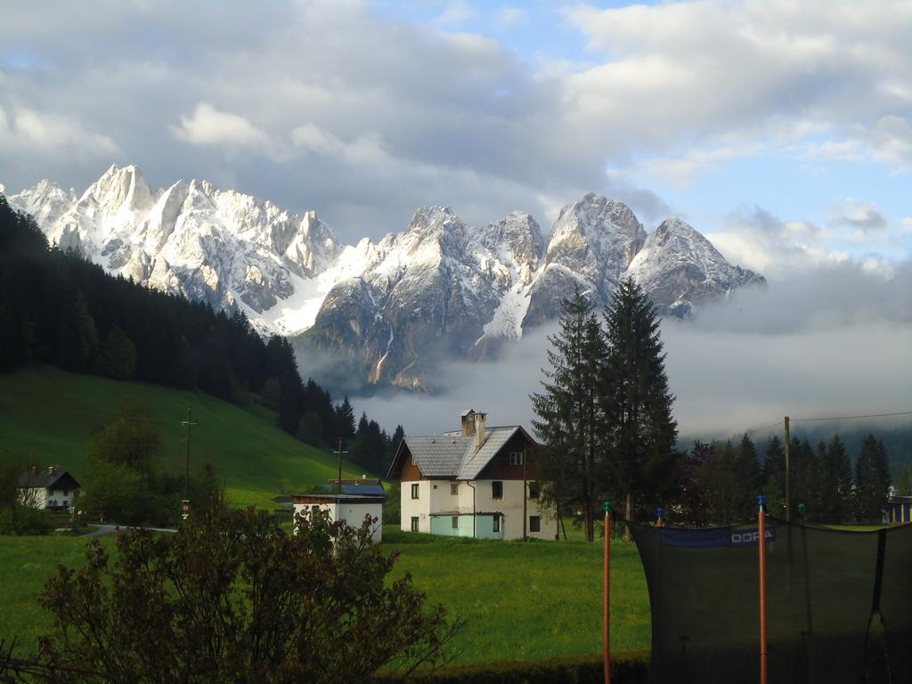 Appartamento Haus Gruenwald Gosau Esterno foto